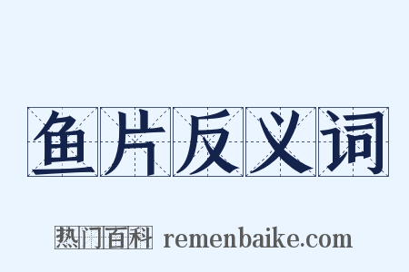 鱼片反义词是什么意思的图片